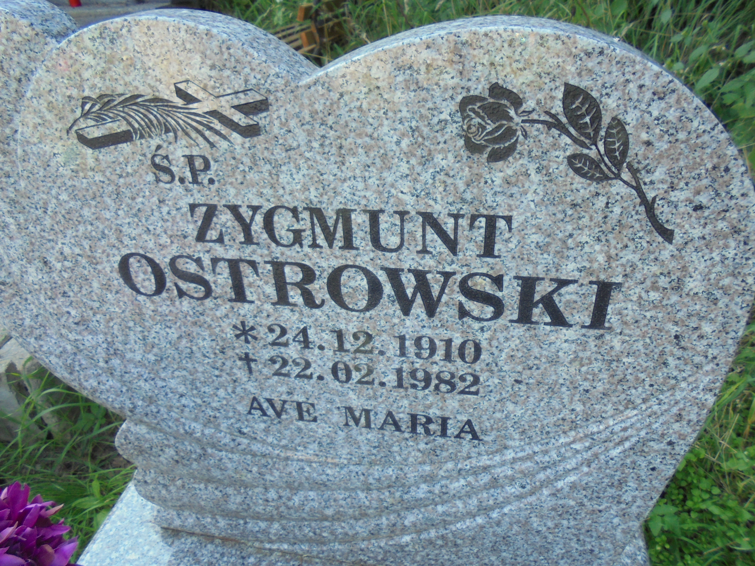Grób Zygmunt Ostrowski